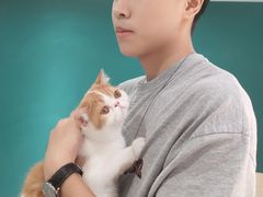 -飞行喵MR PILOT|猫舍·猫咖(静安大融城店)