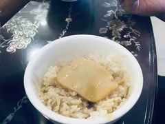 -大中鱼翅 Taitong Shark Fin