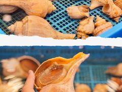 -飞尝蚝·顺德菜·鱼生(顺德总店)