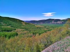 -塞罕坝国家级自然保护区