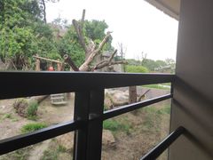 -宁波野生动物园