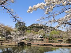 -鹤冈八幡宫