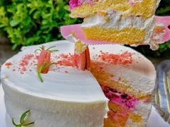 -今日·TODAY手作低脂动物奶油蛋糕定制(高新万达店)