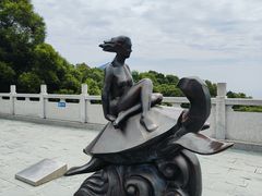 -广东惠东海龟国家级自然保护区