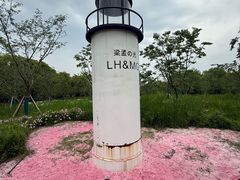 -梁鸿国家湿地公园