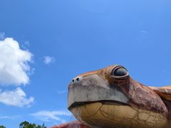 -富国岛珍珠游乐园