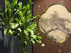 -毗陵醉·黑钻(湖塘店)