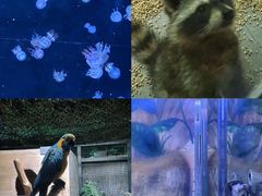 -海合安天津极地海洋公园