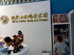 -西安小天鹅艺术团(曲江Alice店)