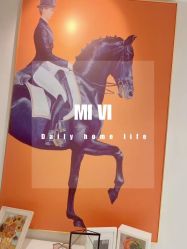 -MIVI野生眉纹绣纹眉