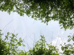 -院子餐厅·大锅菜·老杭帮(桥西直街店)