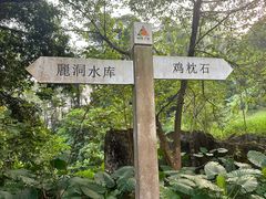 景点-火炉山森林公园