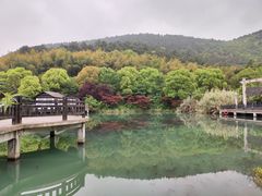 -旺山景区