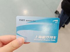 -龙阳路磁悬浮列车总站-停车场