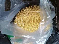 -红星农博物流中心