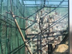 -宿豫区运河湾森林动物园