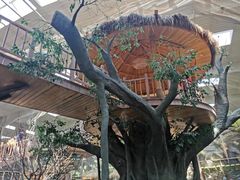 -南宫五洲植物乐园