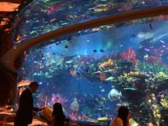 -迪拜帆船酒店海底餐厅