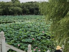 -长春市南湖公园