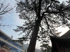 -潭柘寺景区