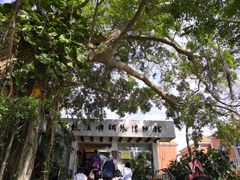 -鼓浪屿钢琴博物馆