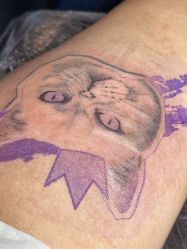 -见雾TATTOO STUDIO