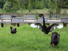 -福建鲤鱼洲酒店