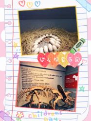 -恐龙探索乐园(磁器口店)