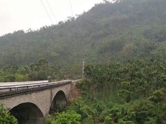 -海南热带雨林国家公园吊罗山景区