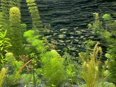 -上海海洋水族馆