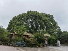 -南山植物园