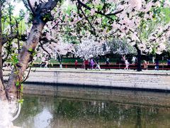 -元大都城垣遗址公园