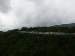 -呀诺达热带雨林
