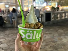 -Salud撒露欧洲冻酸奶(蓝色港湾店)