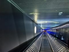 -白鹤梁水下博物馆