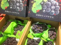 -西郊国际农产品交易中心