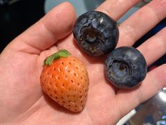 -大观篆新农贸市场