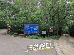 -紫金山山顶公园