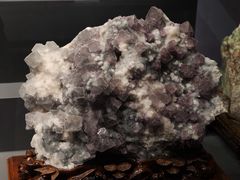 -湖南省地质博物馆