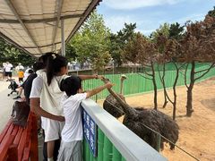 -西霞口神雕山野生动物世界