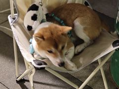 -玉林生活广场