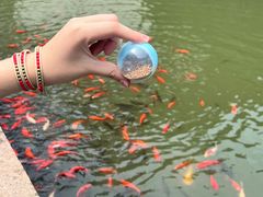 -宁波市保国寺古建筑博物馆