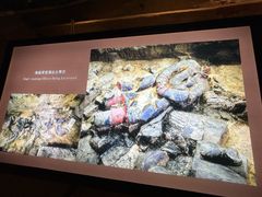 -秦始皇帝陵博物院(兵马俑)