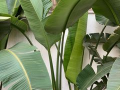 -云里小坐·小院里·团建·宴请·下午茶(三圣乡店)