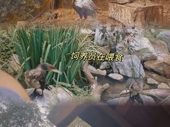 -红山森林动物园
