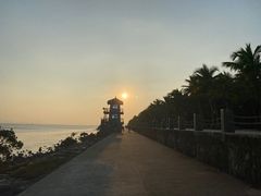 -深圳湾公园(南山区)