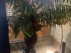 -涟LIAN·泰式按摩·MASSAGE·SPA(华强北店)