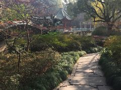 -申粤轩酒楼·三十年粤菜经典(丁香花园店)