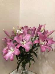 点击看大图 -广州健丽·去眼袋医疗美容机构