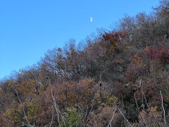 -北京西山国家森林公园